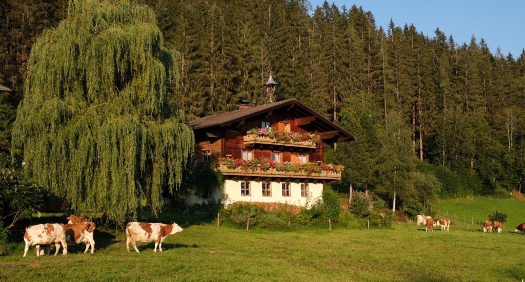 Ellmauhof Villa Pfarrwerfen Eksteriør billede