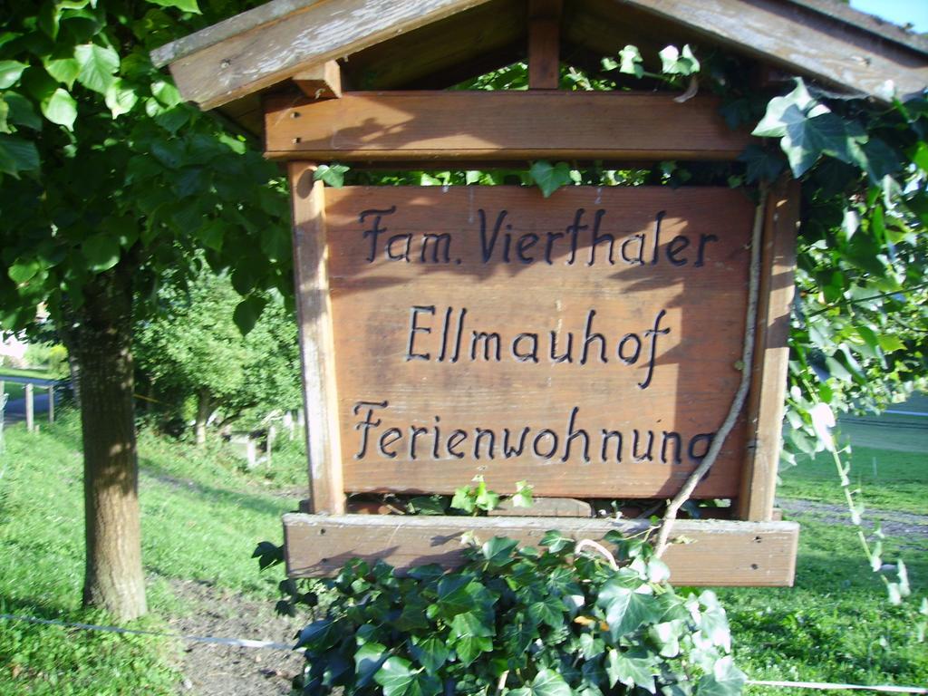 Ellmauhof Villa Pfarrwerfen Eksteriør billede