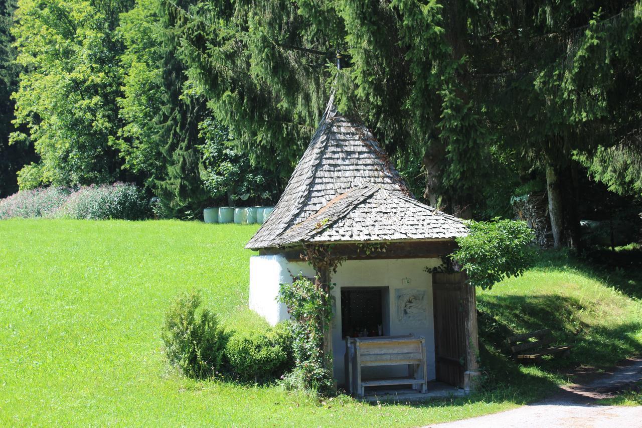 Ellmauhof Villa Pfarrwerfen Eksteriør billede